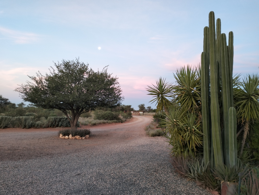 Kalahari