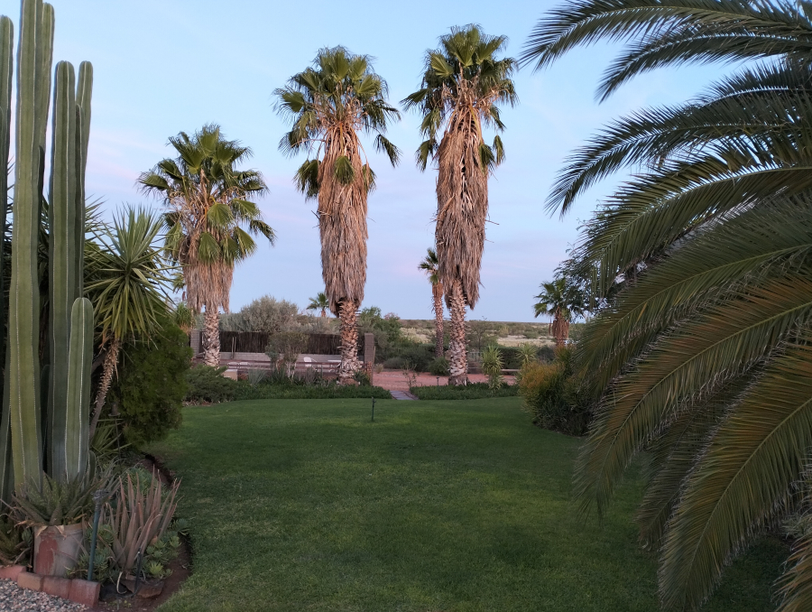 Kalahari