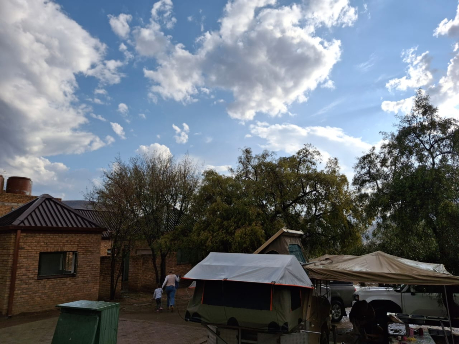 Bergkwagga