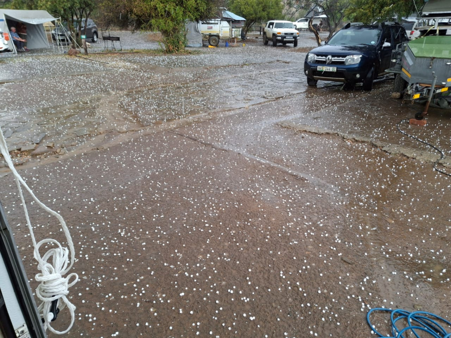 Bergkwagga