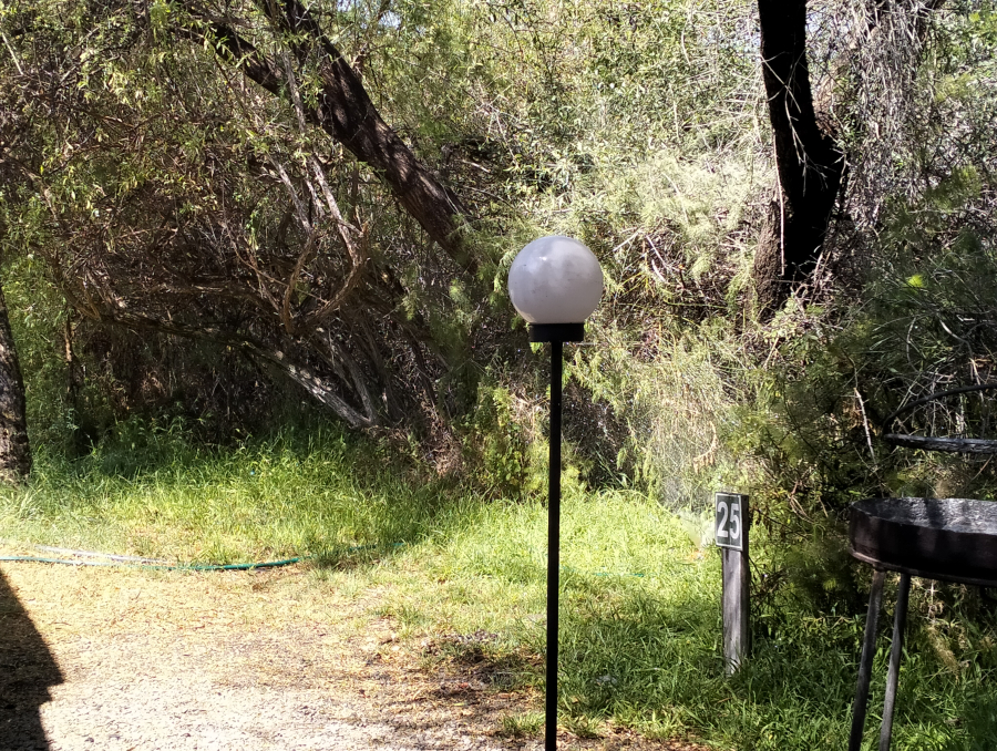 Karoo