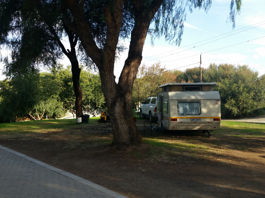 Orania