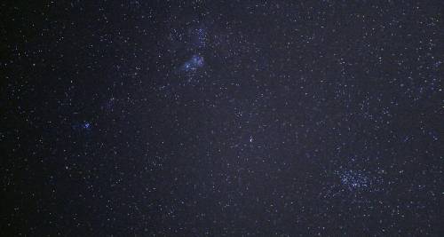 Carina