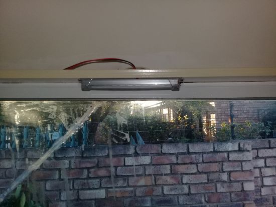 lig
