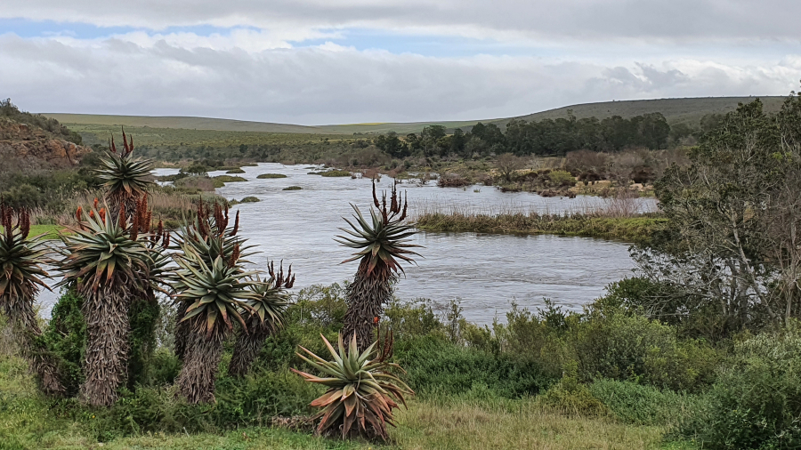 Bontebokpark