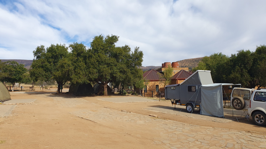 Bergkwagga