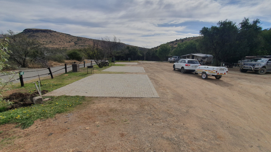 Bergkwagga