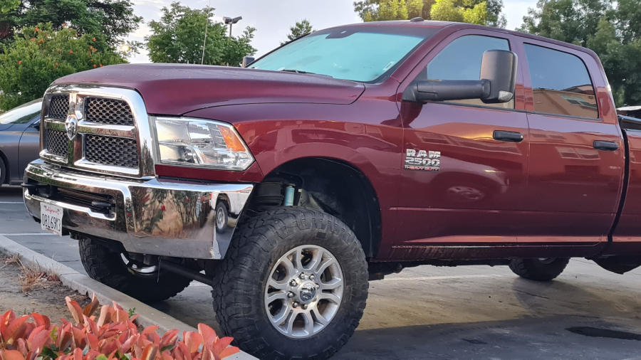 ram