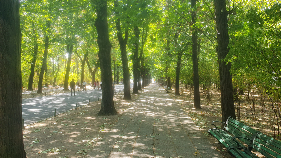Bucharest