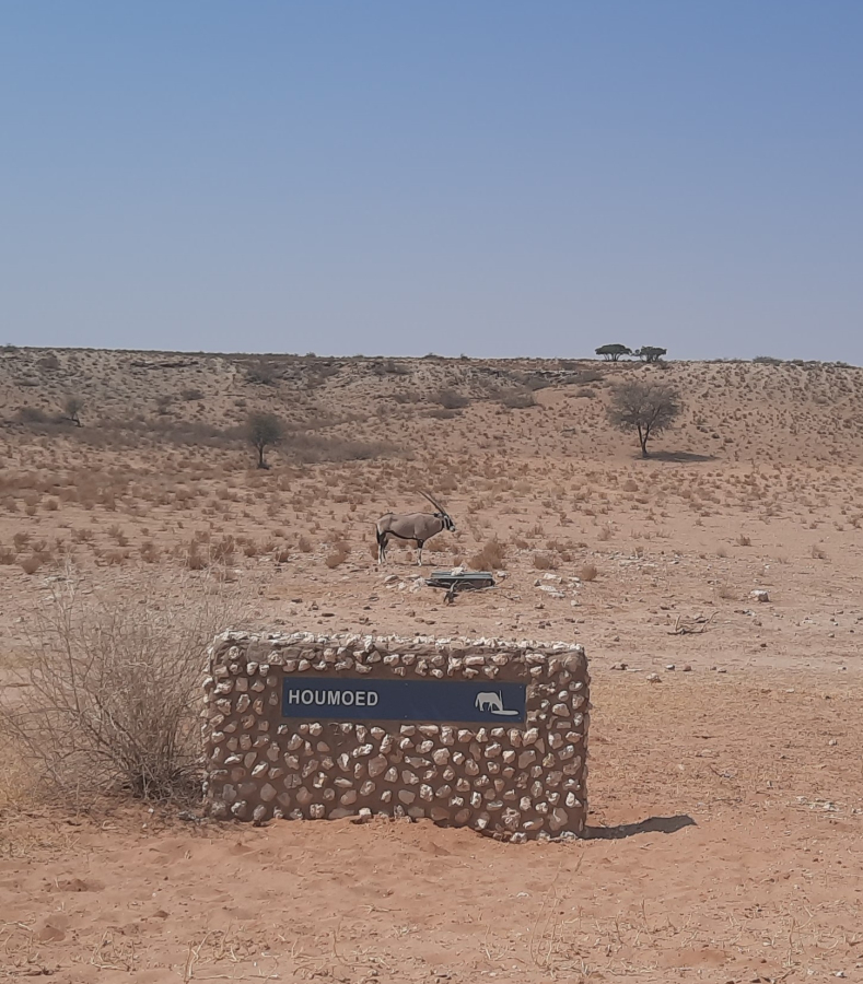 Kgalagadi