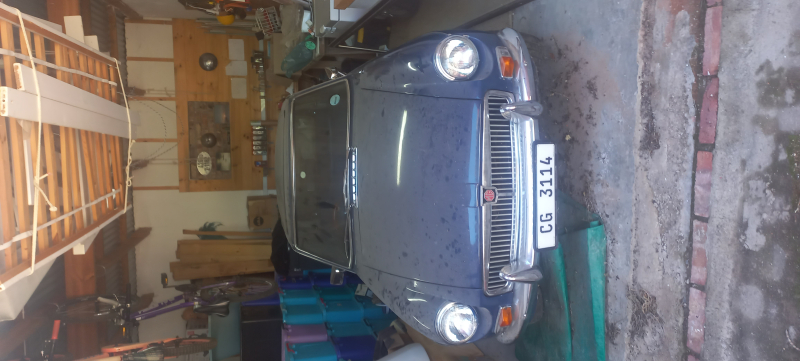 Mg