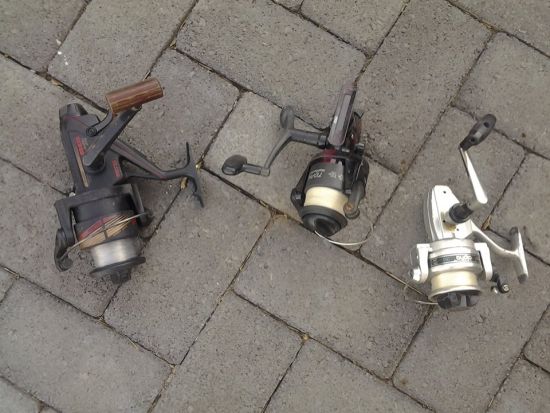 3 reels for free