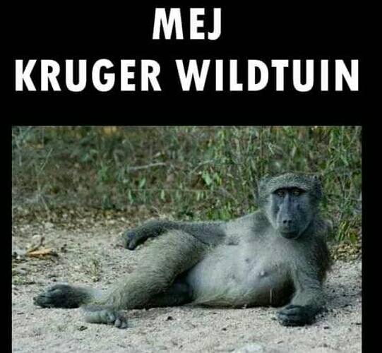 mej