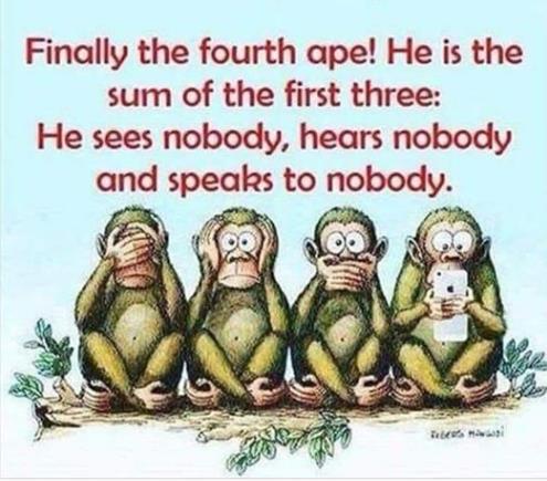 Ape