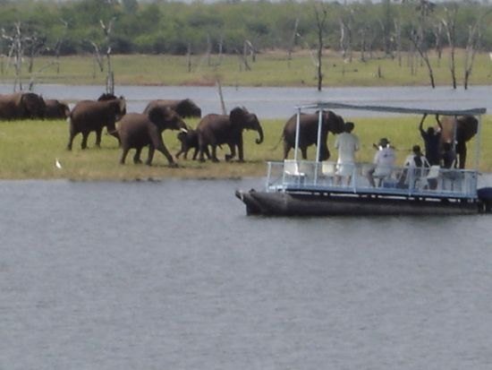 kariba