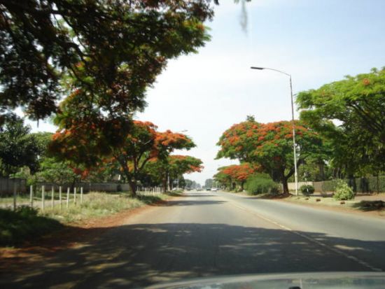 kariba