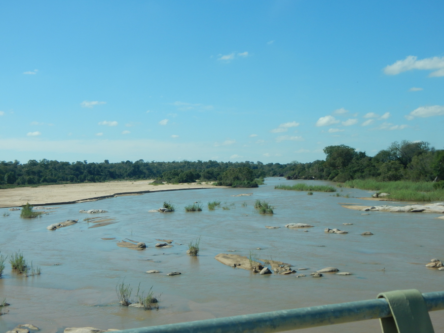 sabie