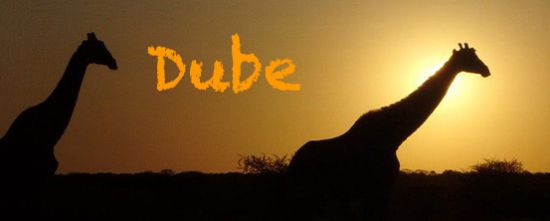 Dube