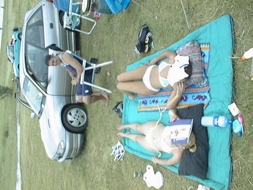 fbvsdf