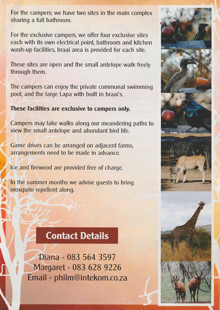 Galago Flyer