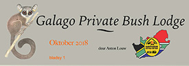 galago private bush lodge