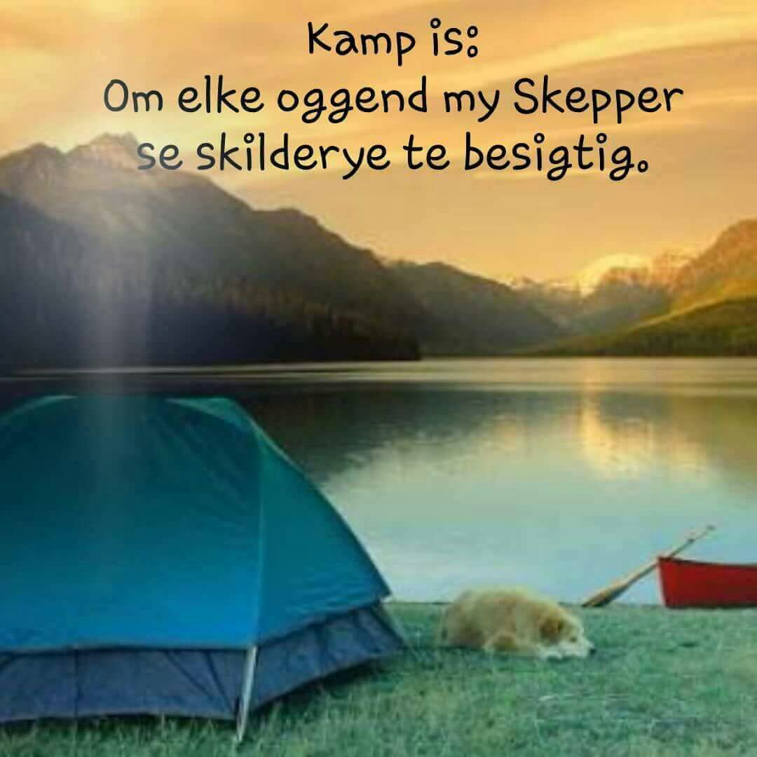 Kamp
