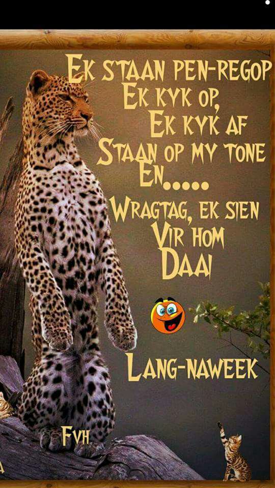 Lang naweek