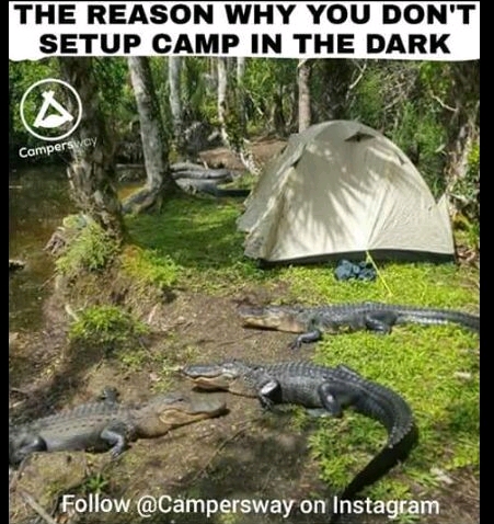 Kamp