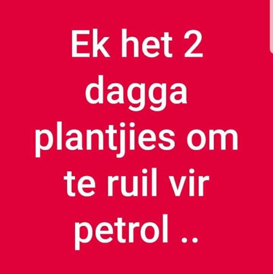 Dagga