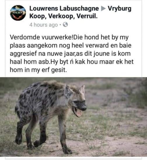 Woef