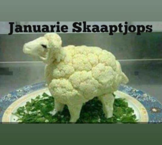 Kool