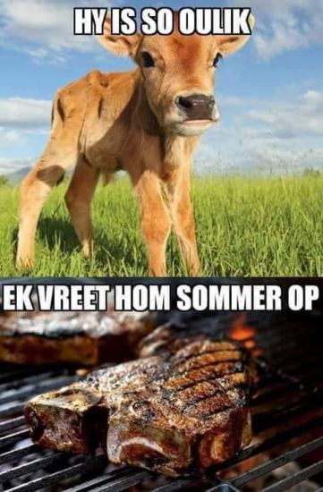 Kos