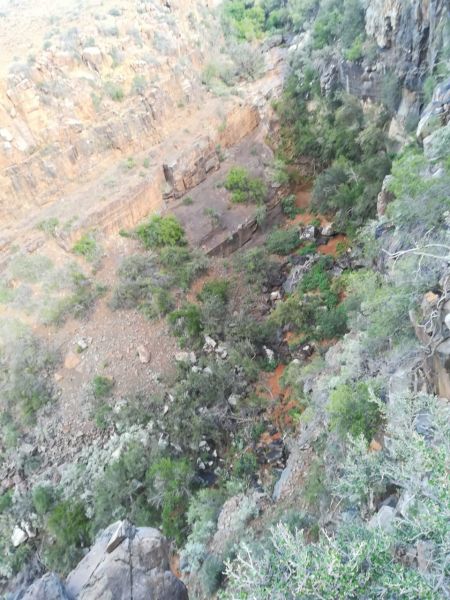 Karoo 