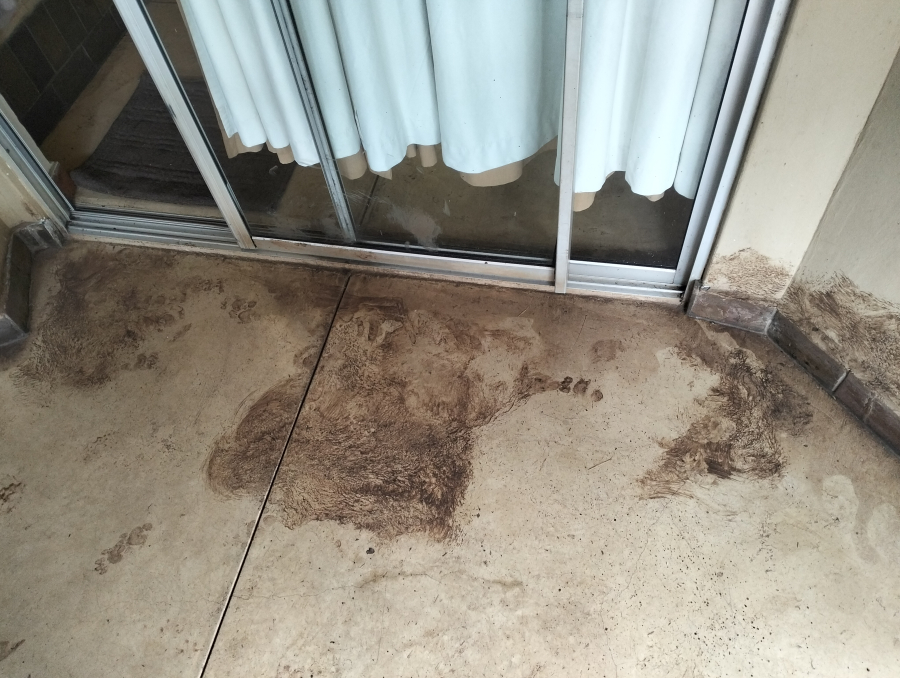 Wildtuin toe