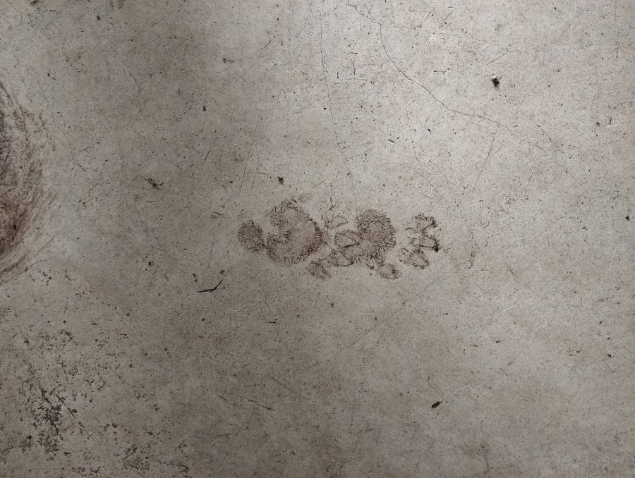 Wildtuin toe