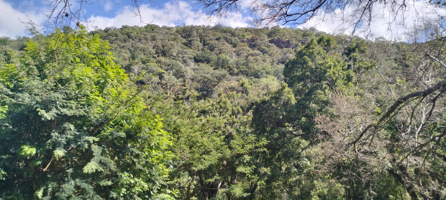 Klein-Kariba