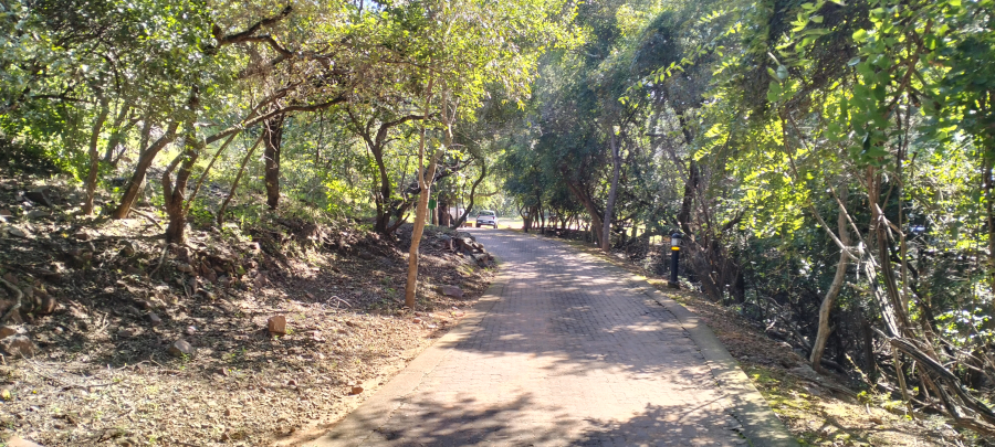 Klein-Kariba