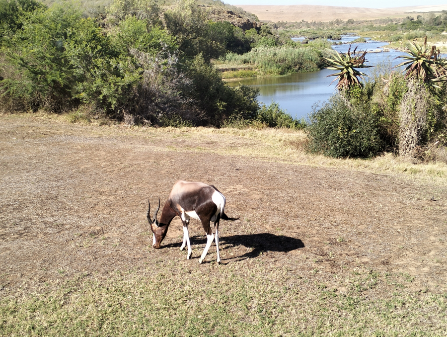Bontebokpark