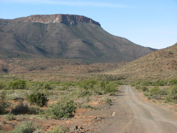 Karoo