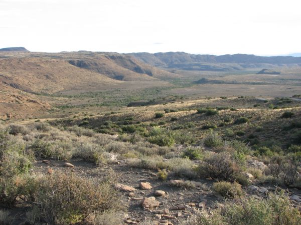 Karoo
