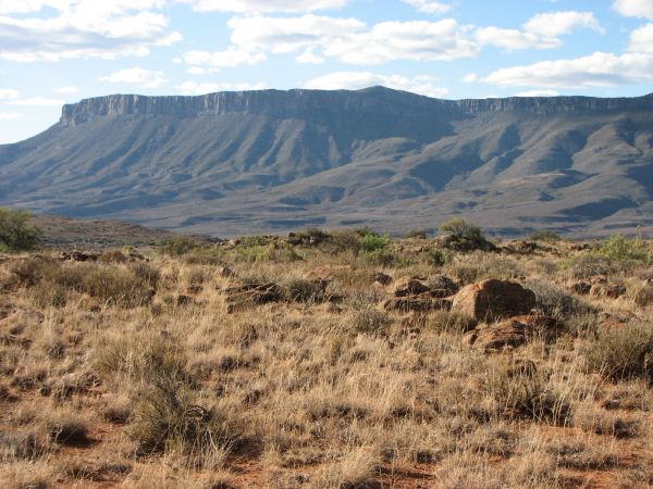 Karoo