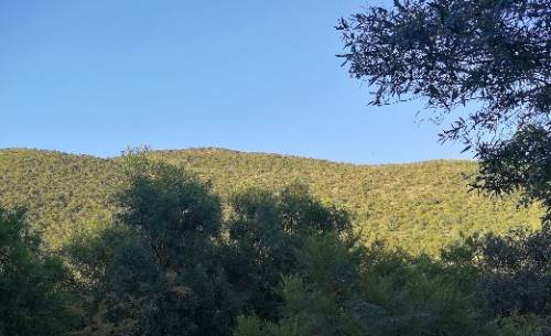 3berge