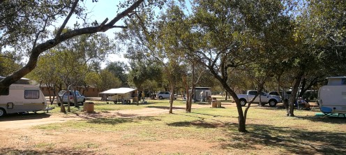 Kokoriba saamtrek