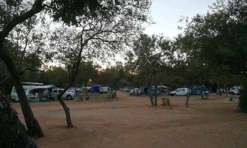 Kokoriba saamtrek