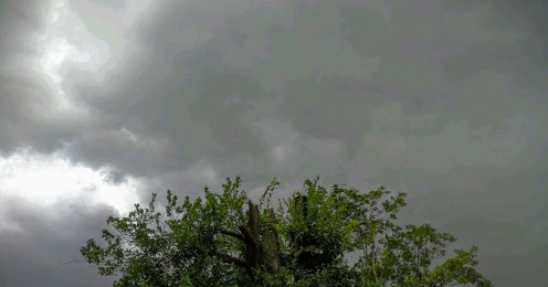 Storm