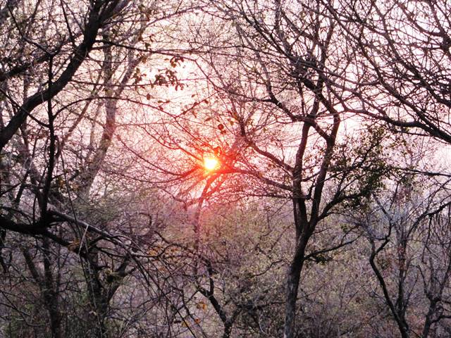 Woodlands Botswana
