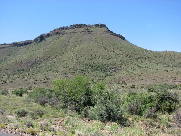 Karoo