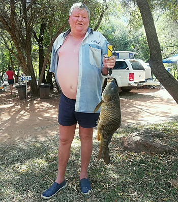 koos
