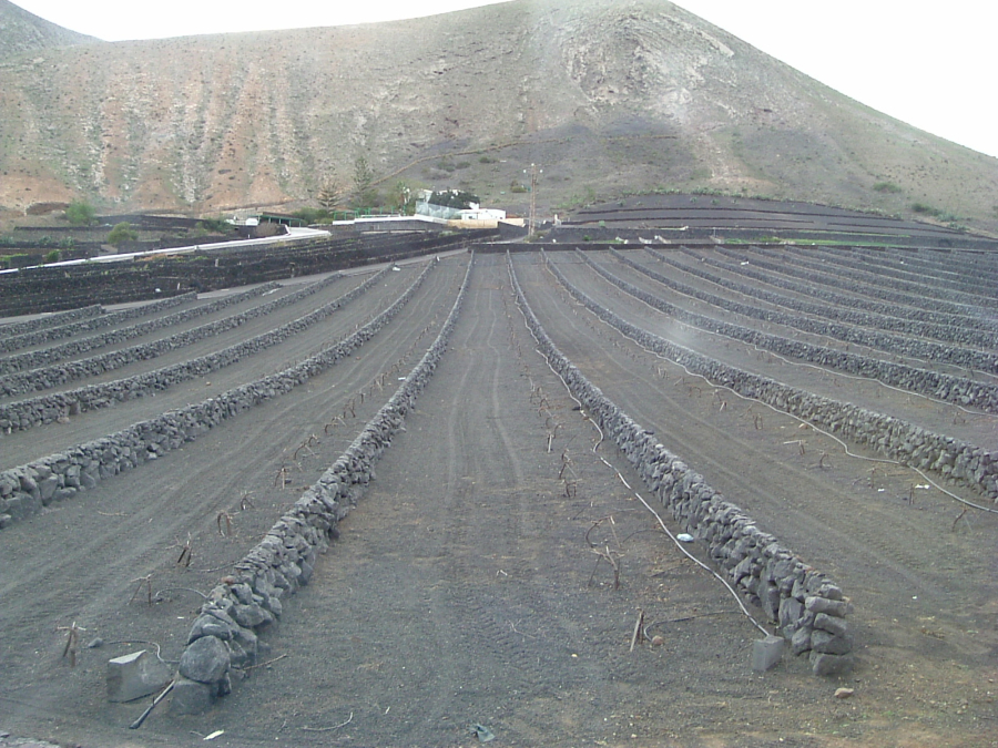 Lanzarote