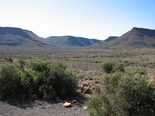 Karoo